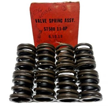 Valve Spring Set- NOS