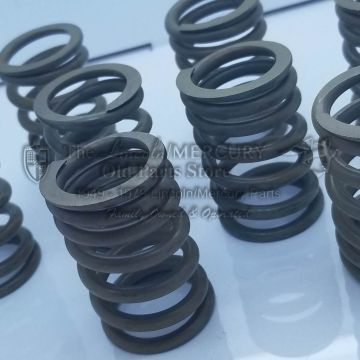 Valve Spring Set